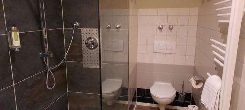 Wiesloch Hotel | Hotel Ifen