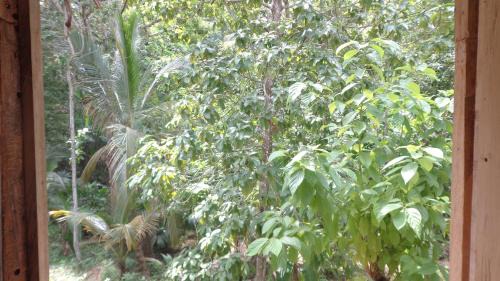 Canaveral Hotel | Hotel Jasayma dentro del Parque Tayrona