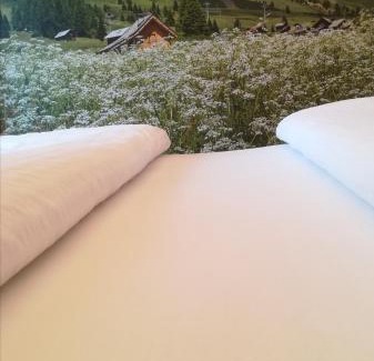 Moena Hotel | Hotel L'Ideale