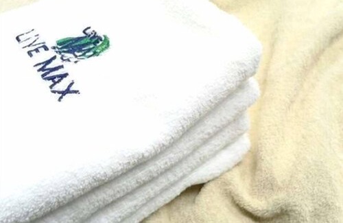 Igidani Onsen Hotel | HOTEL LiVEMAX PREMIUM Himejieki-Minami