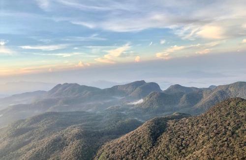 Nallathanniya House | Hotel mango tree nearest Adam's peak