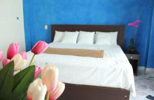 Tuxtla Gutierrez Hotel | Hotel María Eugenia Tuxtla Gutiérrez