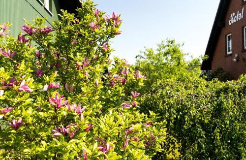 Plau am See Hotel | Hotel Marianne und Restaurant Kiek In