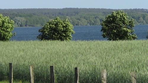 Plau am See Hotel | Hotel Marianne und Restaurant Kiek In