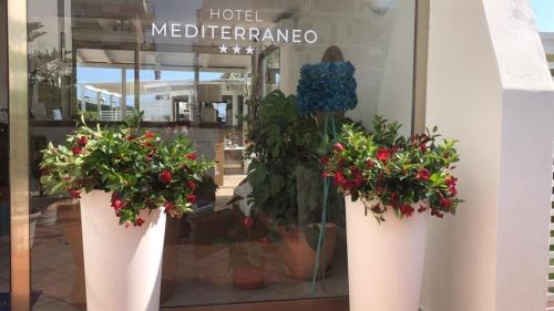 Borgo Santa Maria Hotel | Hotel Mediterraneo