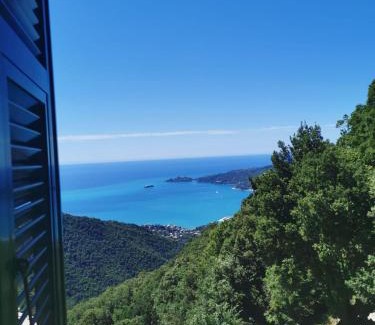 Rapallo Hotel | Hotel Montallegro