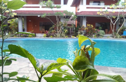 Lovina House | Hotel My Lovina