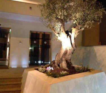 Cutrofiano Hotel | Hotel Naitendì