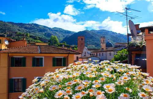 Pietrasanta Hotel | Hotel Palagi