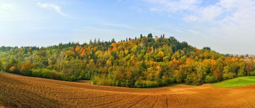 Albinea Hotel | Hotel Parco Fola