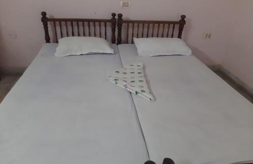 Kovalam Hotel | Hotel Peacock