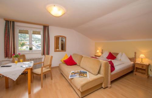 Zell am See House | Hotel Pension Hubertus