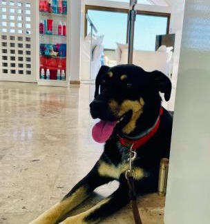 Kipri Hotel | Hotel Perrakis