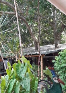 Tolu Hotel | Hotel Pizzeria Opera Tolú