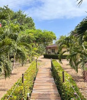 Palomino Hotel | Hotel Playa Mandala