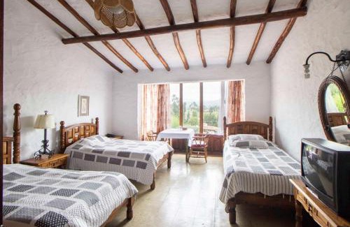 Nobsa Hotel | Hotel Puntalarga