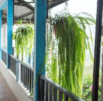 San Agustin Lanquin House | Hotel Rabin Itzam