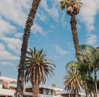 Ica Hotel | Hotel Real Ica
