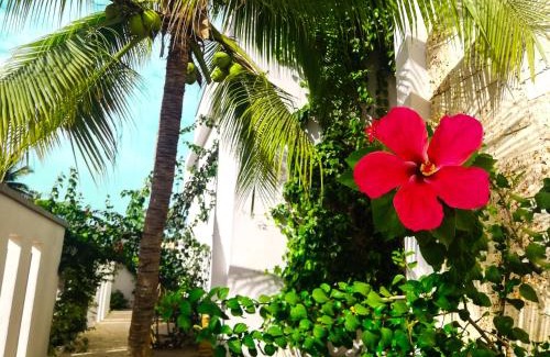 Tolu Hotel | Hotel Rilux Tolú -Casa Danae-