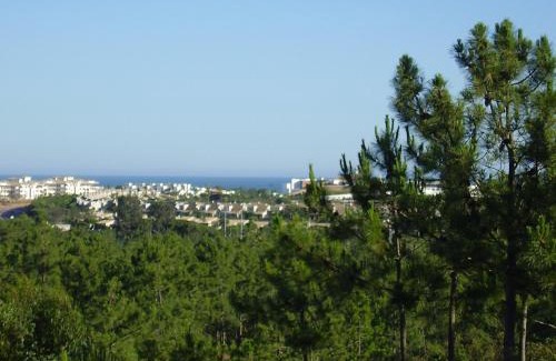 Cartaya Hotel | Hotel San Miguel