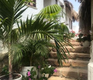 Punta Sal Hotel | Hotel Smiling Crab