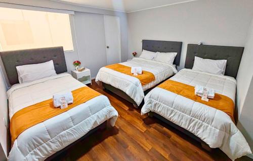 Historical Center Hotel | Hotel Terrazas del sol