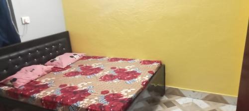 Patna House | Hotel the royal kingh