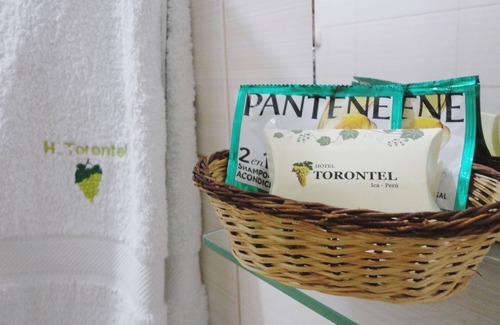 Ica Hotel | Hotel Torontel