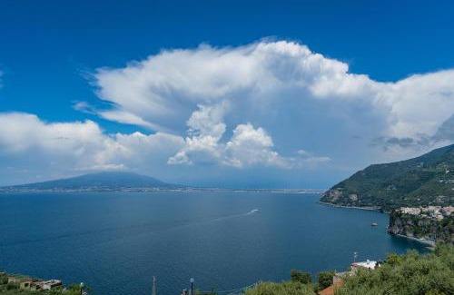 Monte Chiaro Hotel | Hotel Torre Barbara