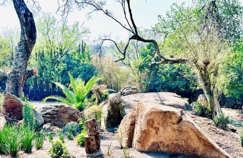 Greater Johannesburg Metropolitan Area House | Hotel Vibes Ferndale