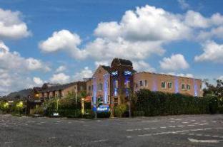 Healdsburg Hotel | Hotel Vinea Healdsburg