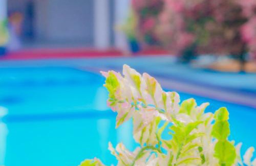 Beruwela Hotel | Hotel Water Nest