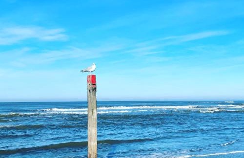 De Koog Hotel | Hotel Zeerust Texel