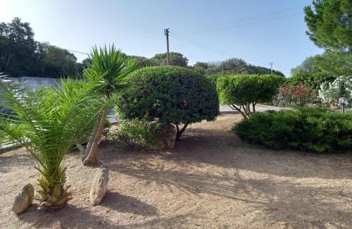 Sassari Apartment | House Bellavista