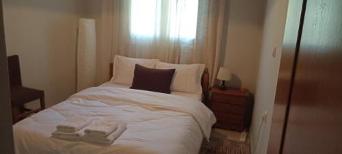 Konitsa Apartment | House by the Mountain