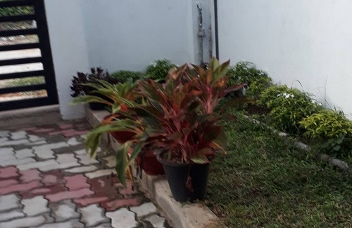 Malabe House | house,city house,town house,small hose.