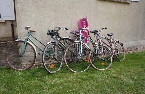 Dolus-d'Oleron Apartment | House floor with private garden and barbecue