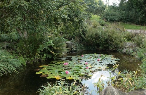 Nancy City Centre Apartment | House