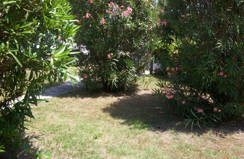 Bravone Villa | HOUSE FROM COURSE HOUSE GARDEN 500M2