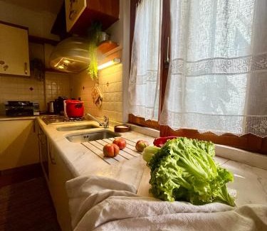 Montespertoli Apartment | House Ilary