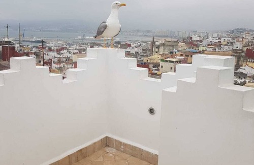 Medina of Tangier House | House in the medina of Tangier with panoramic terrace
