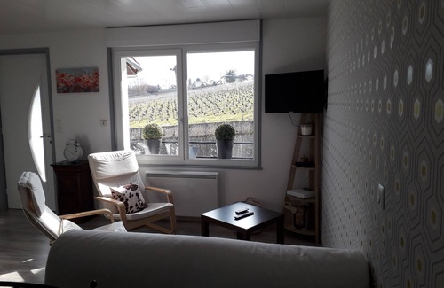 Mardeuil House | House in the middle of the vineyards