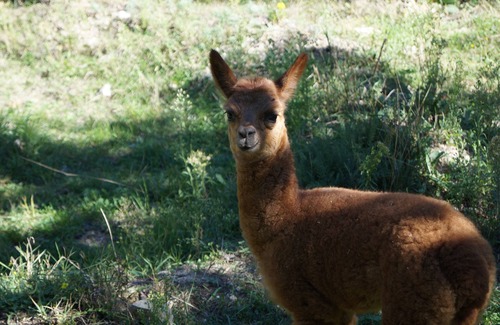 Foligno House | House in the Umbrian hills