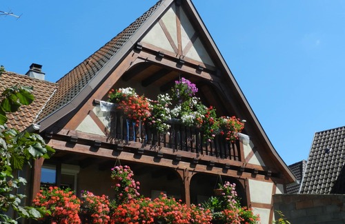 Triembach-au-Val House | House "Les Prés de Malou" - 3 Epis