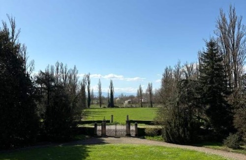 San Faustino-Madonnina-Quattroville Apartment | House Loaves and Tulips