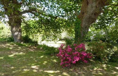 Plougonvelin Apartment | House near the sea with 2500m2 garden