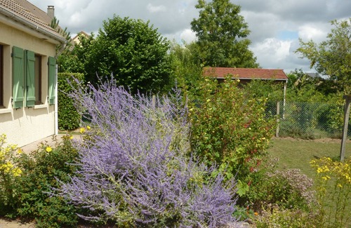 Nouvion House | House of full foot any comfort with view on the forest until 8 people