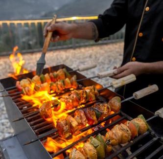 Manali Hotel | House of Soyl