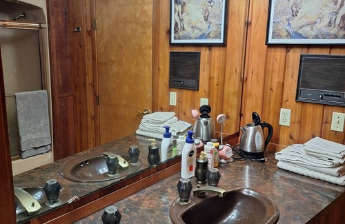 Lansing House | HOUSE OF THE FUTURE MANSION, 2 HUGE BEDROOMS w/WiFi, AC in Woods of W. Lansing