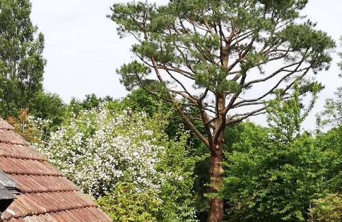 Plougastel-Daoulas House | House on the Plougastel peninsula